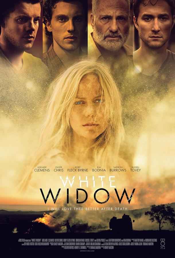 Ночь лотоса