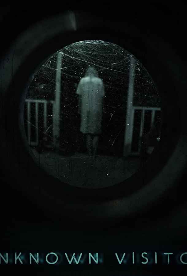 Незнакомый гость