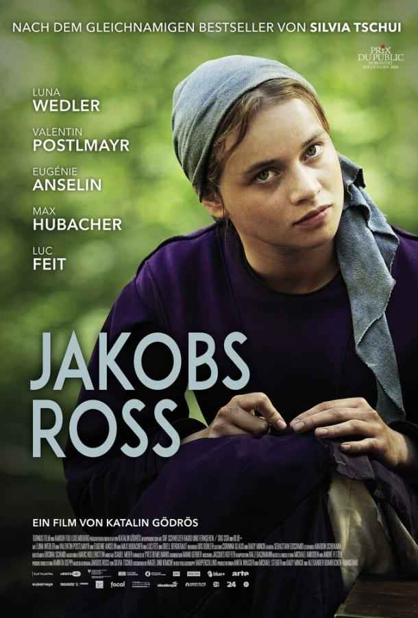 Когда поёт душа