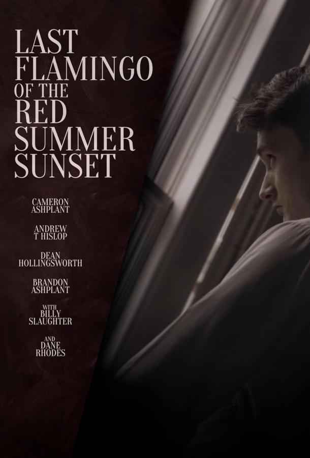 Последний фламинго красного летнего заката