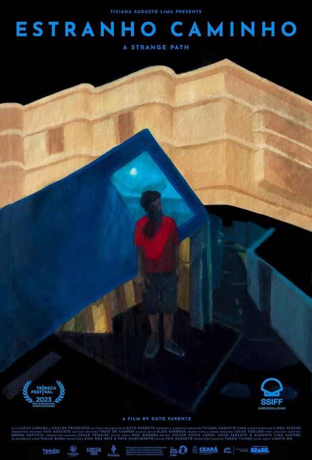 Странный путь