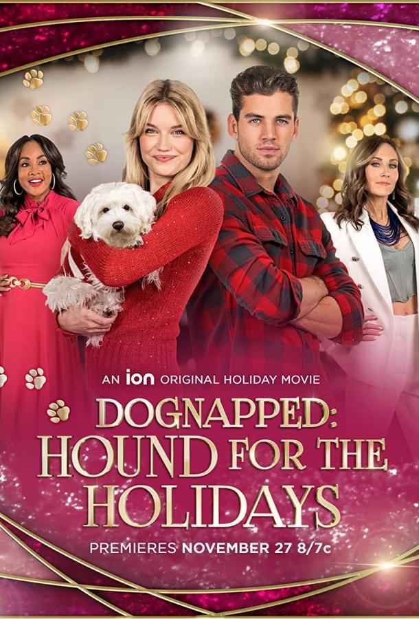 Похищение: Щенок на праздники