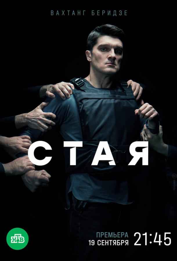 Стая