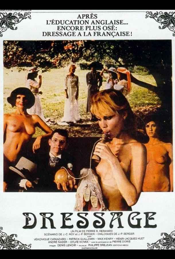 Дрессировка