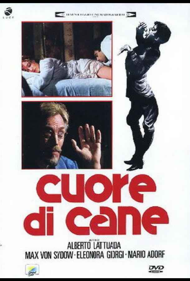 Собачье сердце