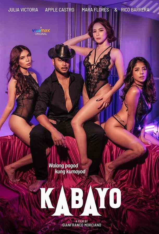 Жеребец / Конь