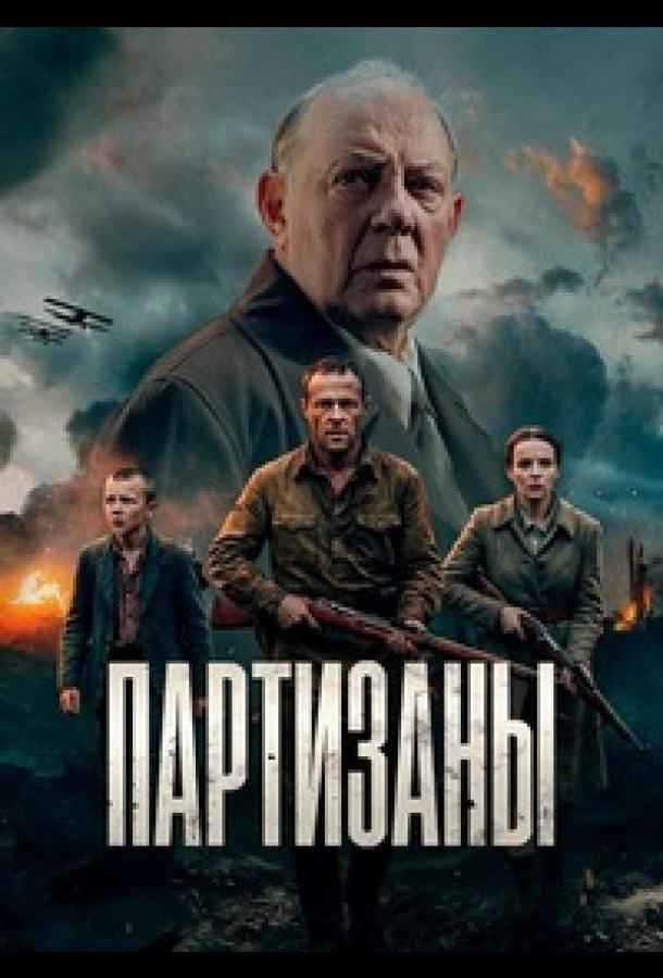 Партизаны