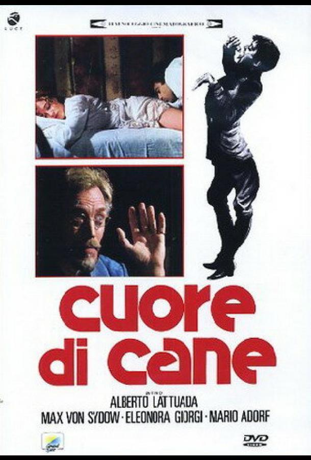 Собачье сердце