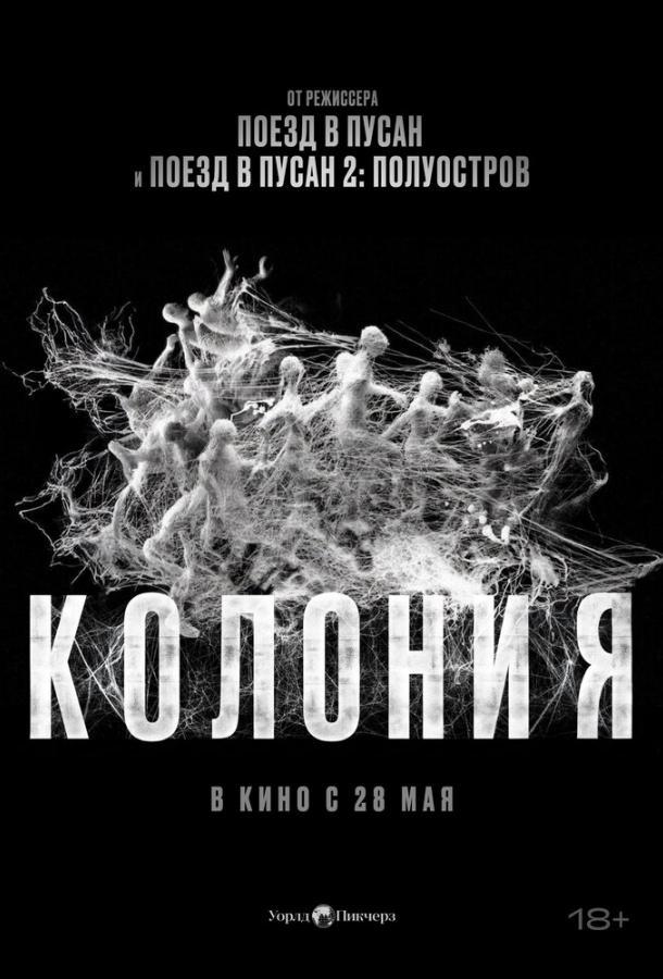 Колония